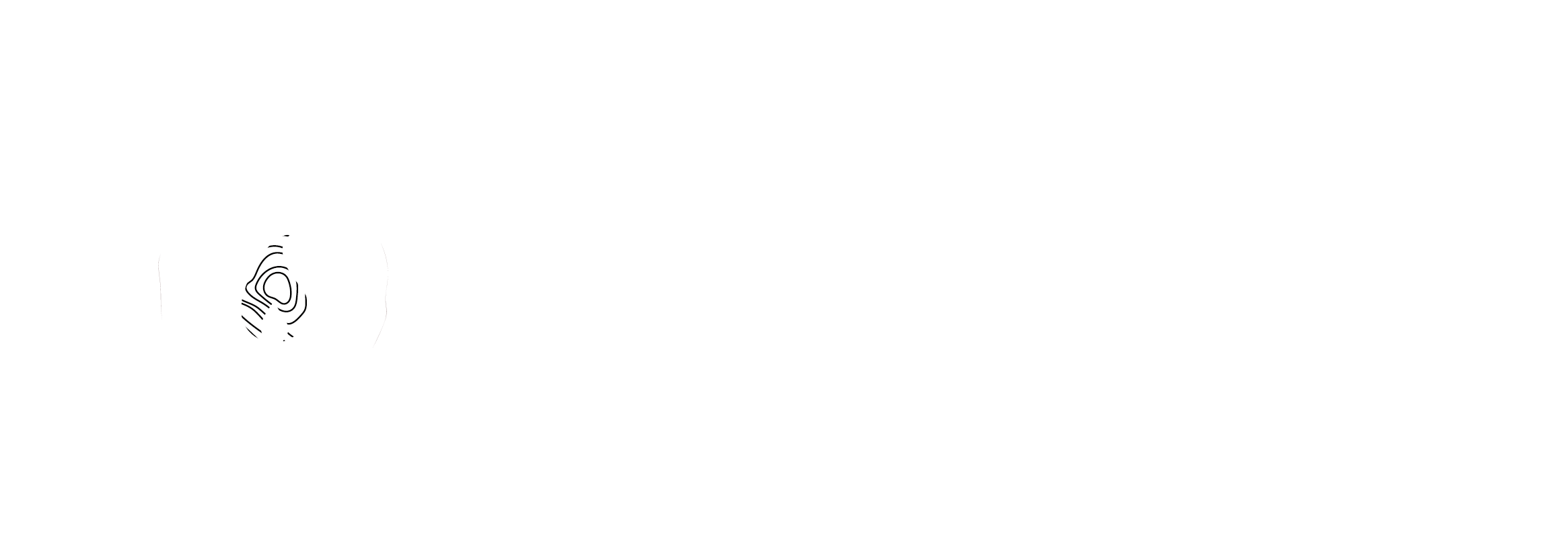 De Micheli Marco & Co.